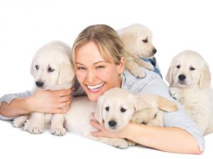 4 puppies and a girl